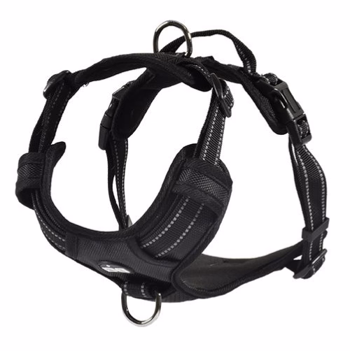 image 3.png