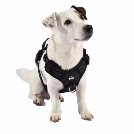 image 3.png