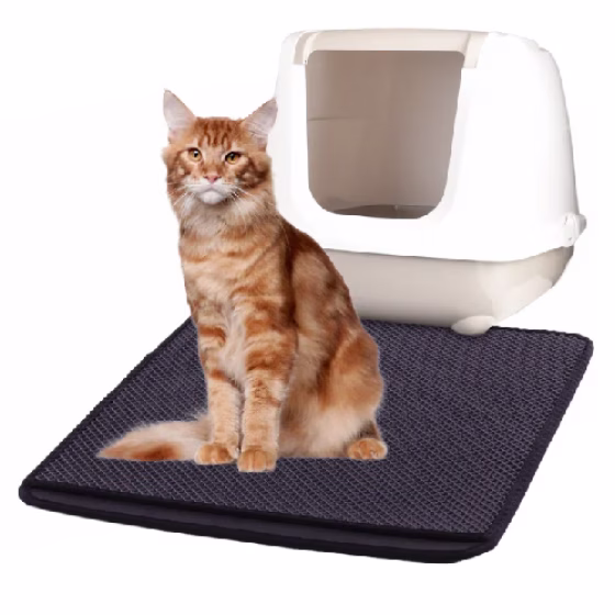 image 2.png