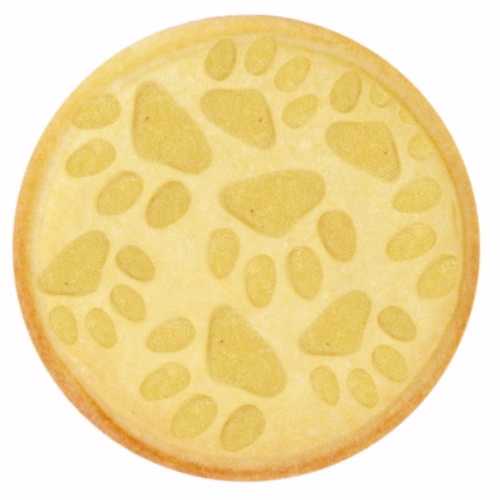 Photo 3.jpg