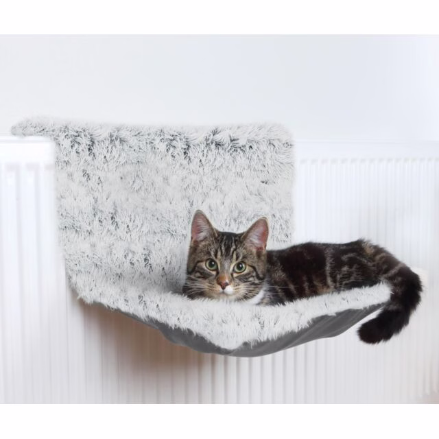 originals_PHO_PRO_CAT_PHO_PRO_CAT_43145-2_#SALL_#AWK_#V1.jpg