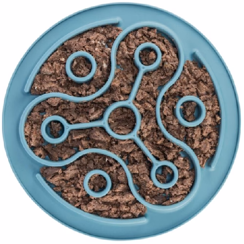 image 1.png