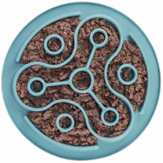 image 1.png