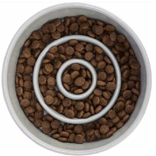 image 3.png