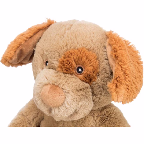 image 1.png