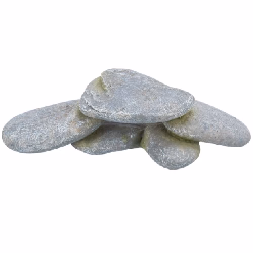image 1.png