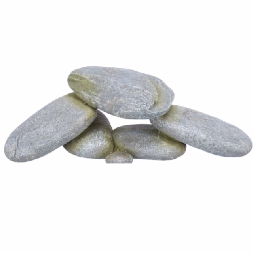 image 1.png