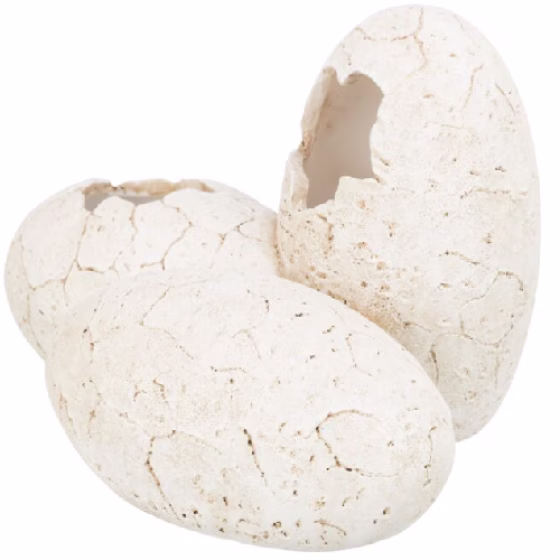 image 1.png