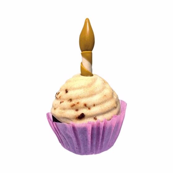 snack anniversaire.jpg