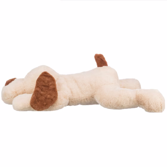 image 1.png