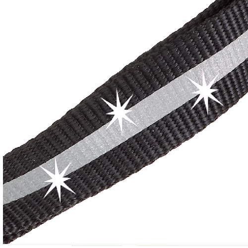 image 1.png