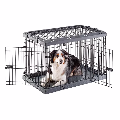 image 5.png