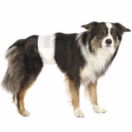 Couche-pour-chien.jpg