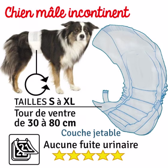 Couche-pour-chien.jpg