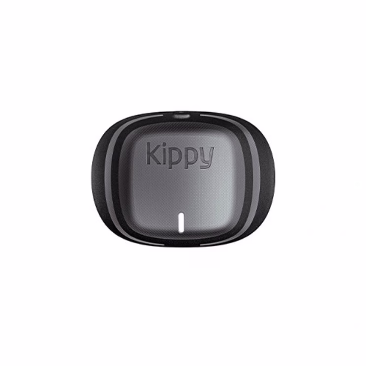 KippyEvoGreyStone.png