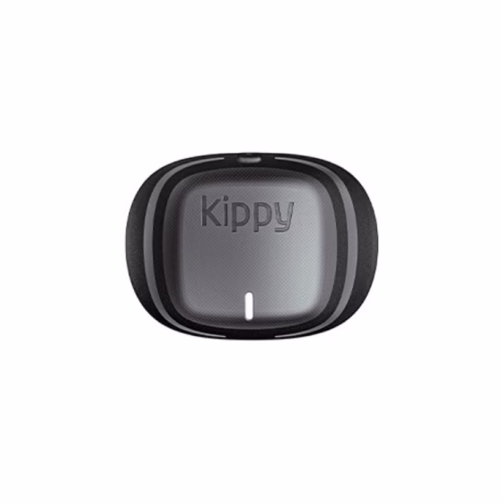 KippyEvoGreyStone.png