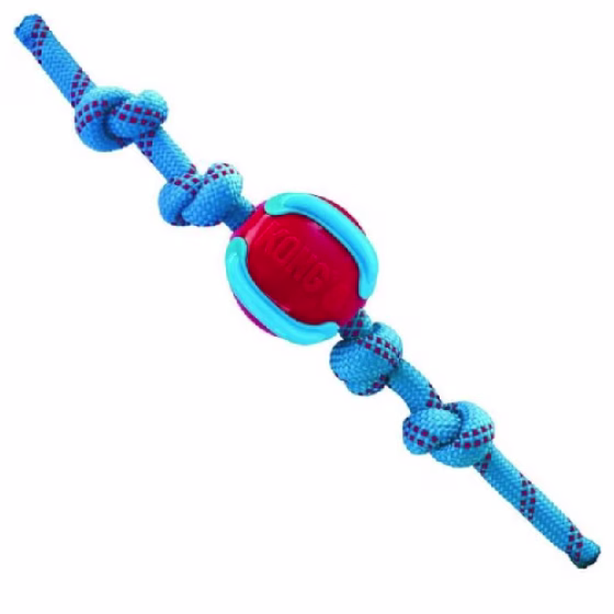 image 1.png
