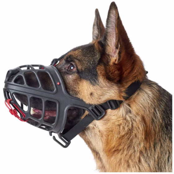 image 5.png