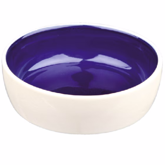 image 1.png