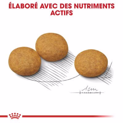 94097_pla_royalcanin_ccn_medium_dermacomfort_4.jpg