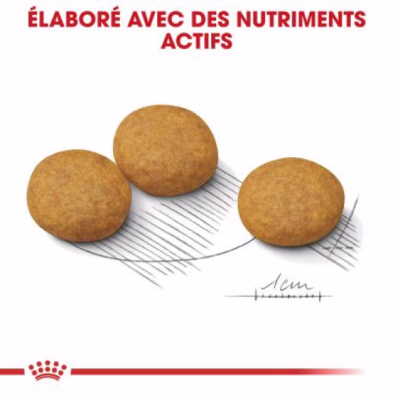 94097_pla_royalcanin_ccn_medium_dermacomfort_4.jpg