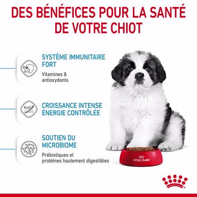 253099_pla_royalcanin_dog_giant_puppy_hs_01_1.jpg
