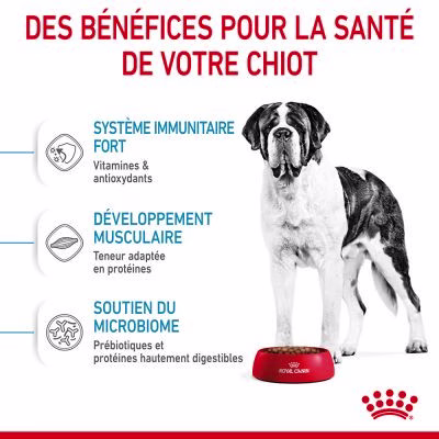 253100_pla_royalcanin_dog_giant_junior_hs_01_8.jpg