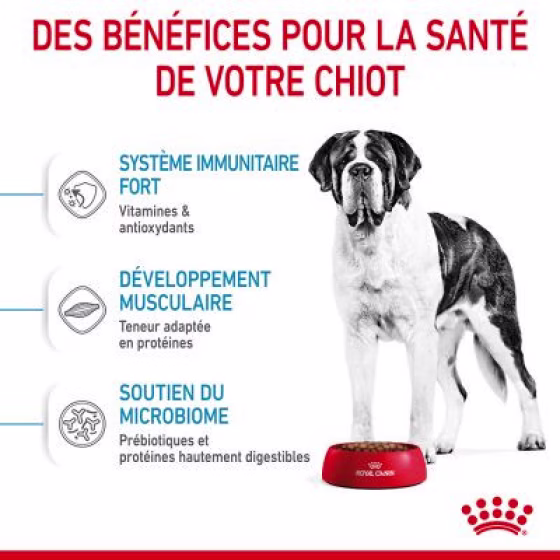 253100_pla_royalcanin_dog_giant_junior_hs_01_8.jpg