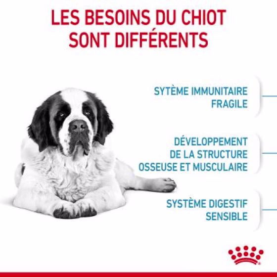 253100_pla_royalcanin_dog_giant_junior_hs_01_8.jpg