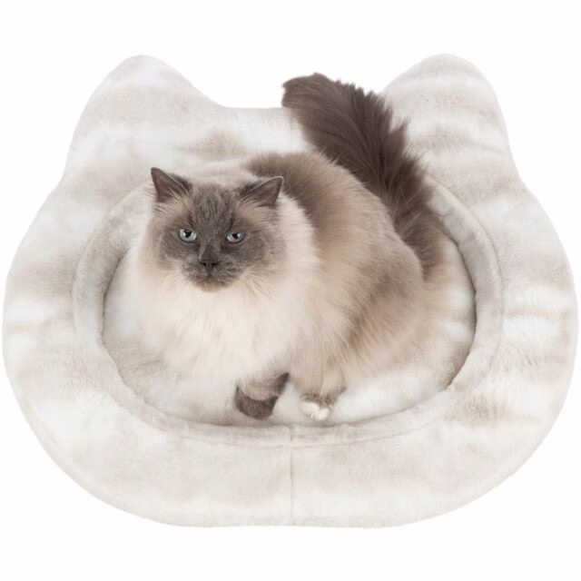 originals_PHO_PRO_CAT_CLIP_PHO_PRO_CAT_CLIP_37501-1_#SALL_#AWK_#V1.jpg