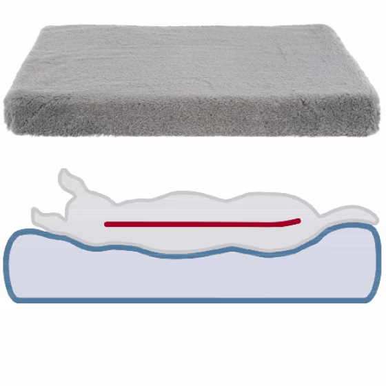 image 1.png