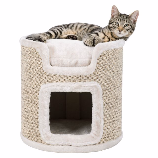 originals_PHO_PRO_CAT_CLIP_PHO_PRO_CAT_CLIP_44706-3_#SALL_#AWK_#V1.jpg