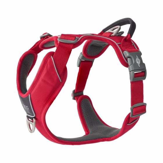 image 1.png