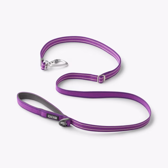 Collier Réfléchissant Urban Style PASSION pour chien