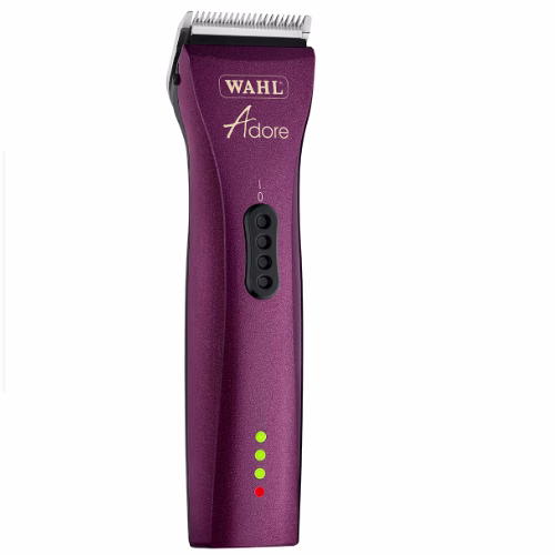 image 1.png