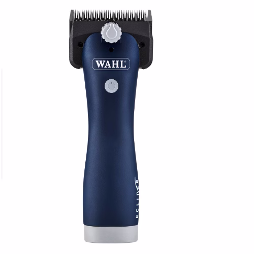 image 1.png