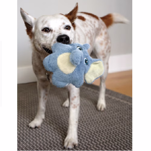 image 4.png