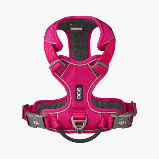 comfort-walk-pro-harnais (14).jpg