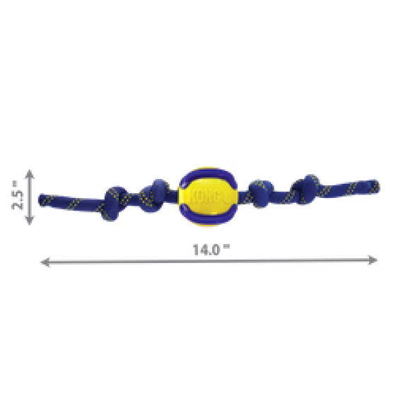 image 1.png