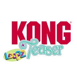image 1.png