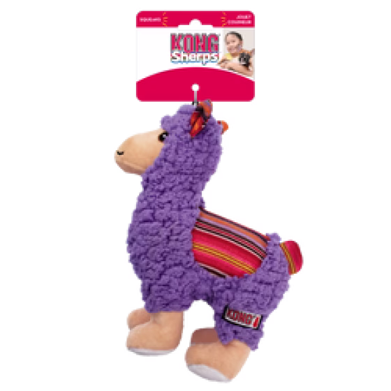 image 1.png