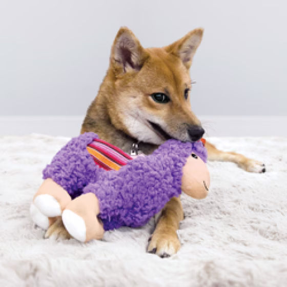 image 1.png