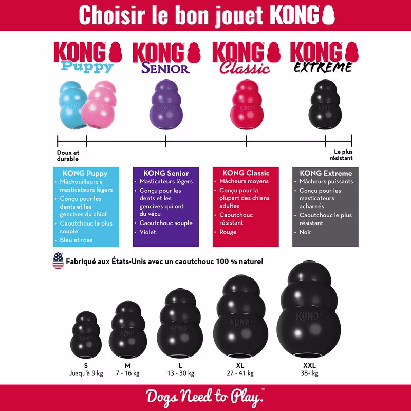 KN1E (1).jpg