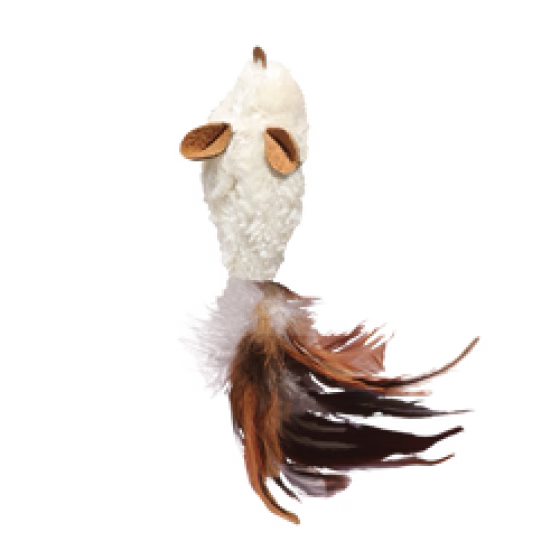 NM42_OFF_PK_1.png