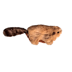NB44_OFF_PK_1.png