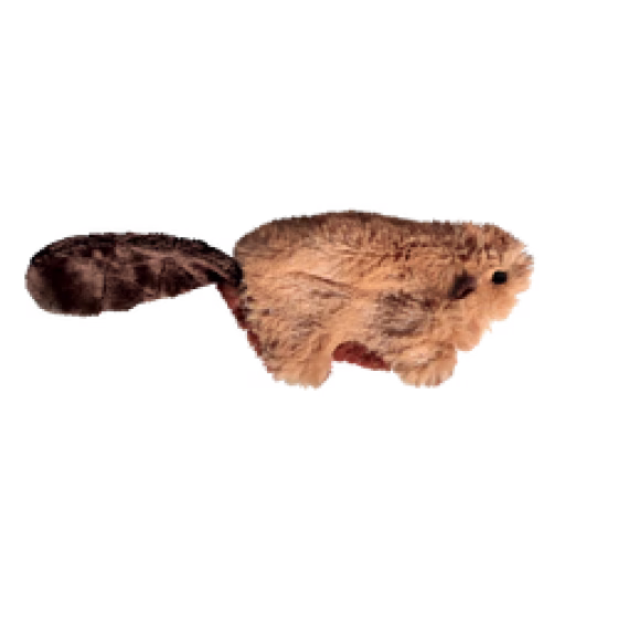 NB44_OFF_PK_1.png
