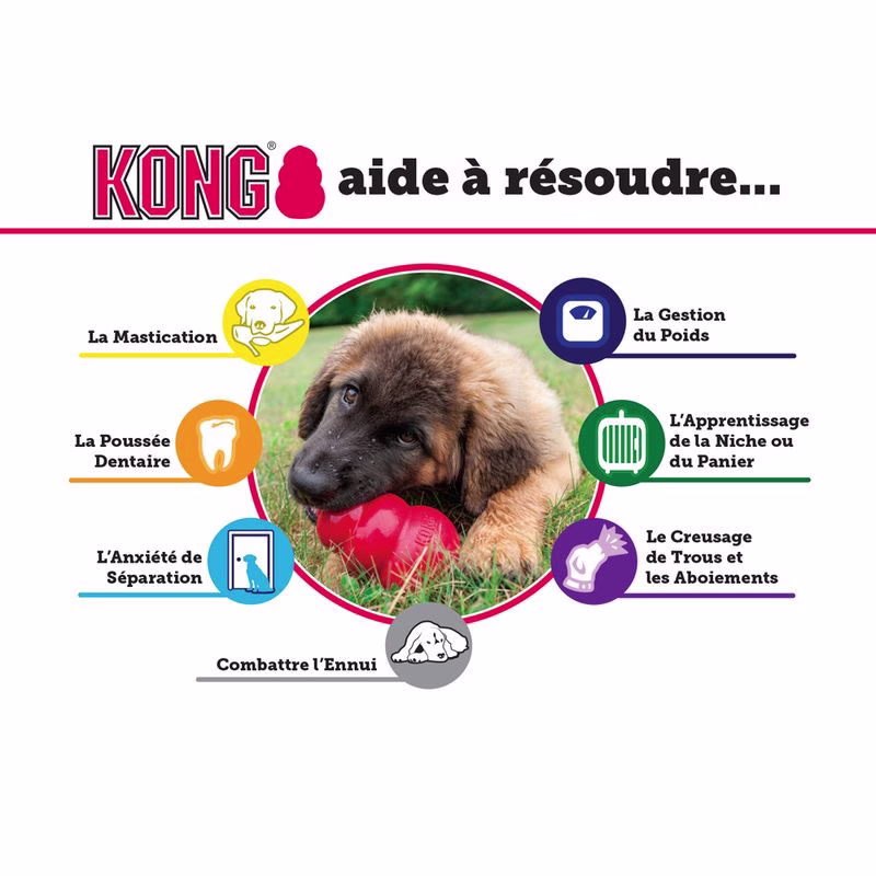 Jouet KONG Puppy rose pour chiot
