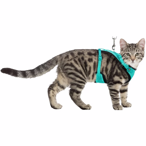 image 5.png