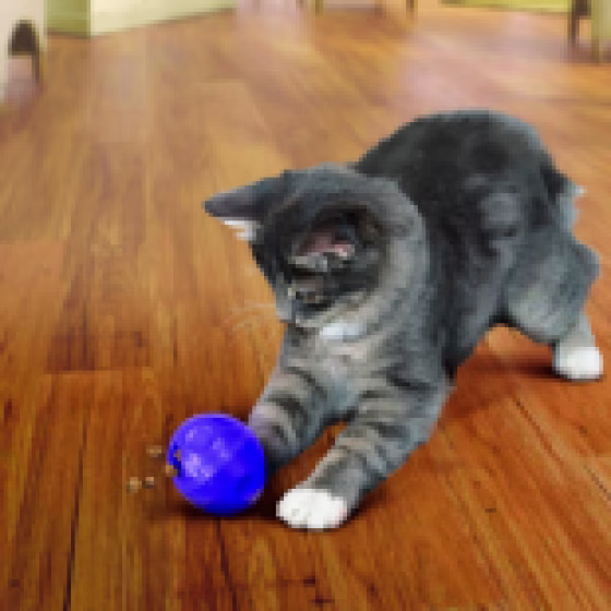 chats-kong-balle-kong-cat-treat-dispensing-ball-51400384773-155x_.png