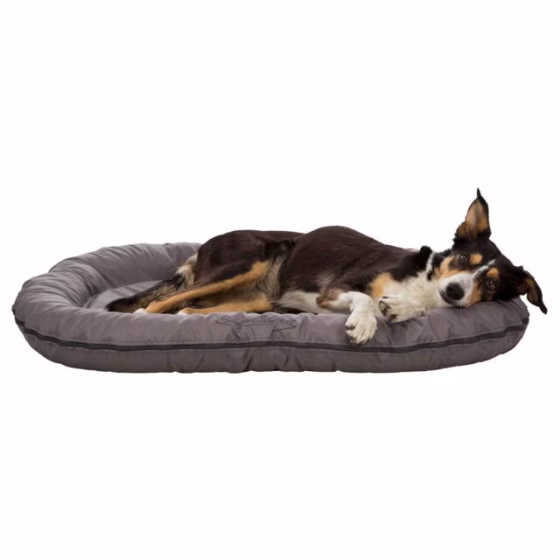 originals_PHO_PRO_DOG_CLIP_PHO_PRO_DOG_CLIP_28245-1_#SALL_#AWK_#V1.jpeg